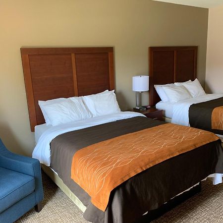 Comfort Inn Smithfield Near I-95 Zewnętrze zdjęcie